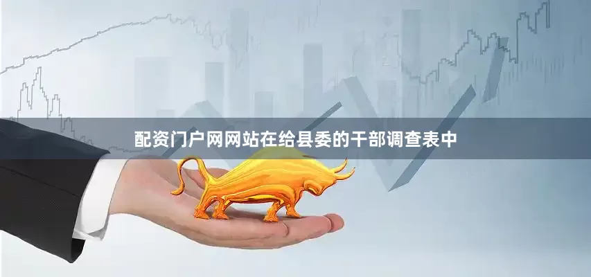 配资门户网网站在给县委的干部调查表中