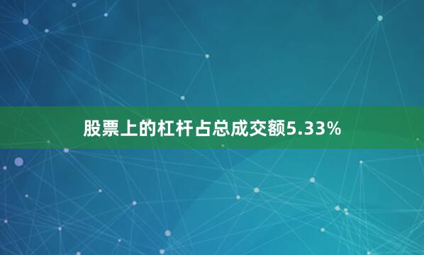 股票上的杠杆占总成交额5.33%